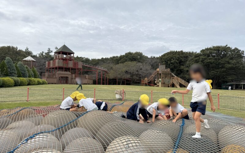 IMG_8420-2 IMG_8420-2