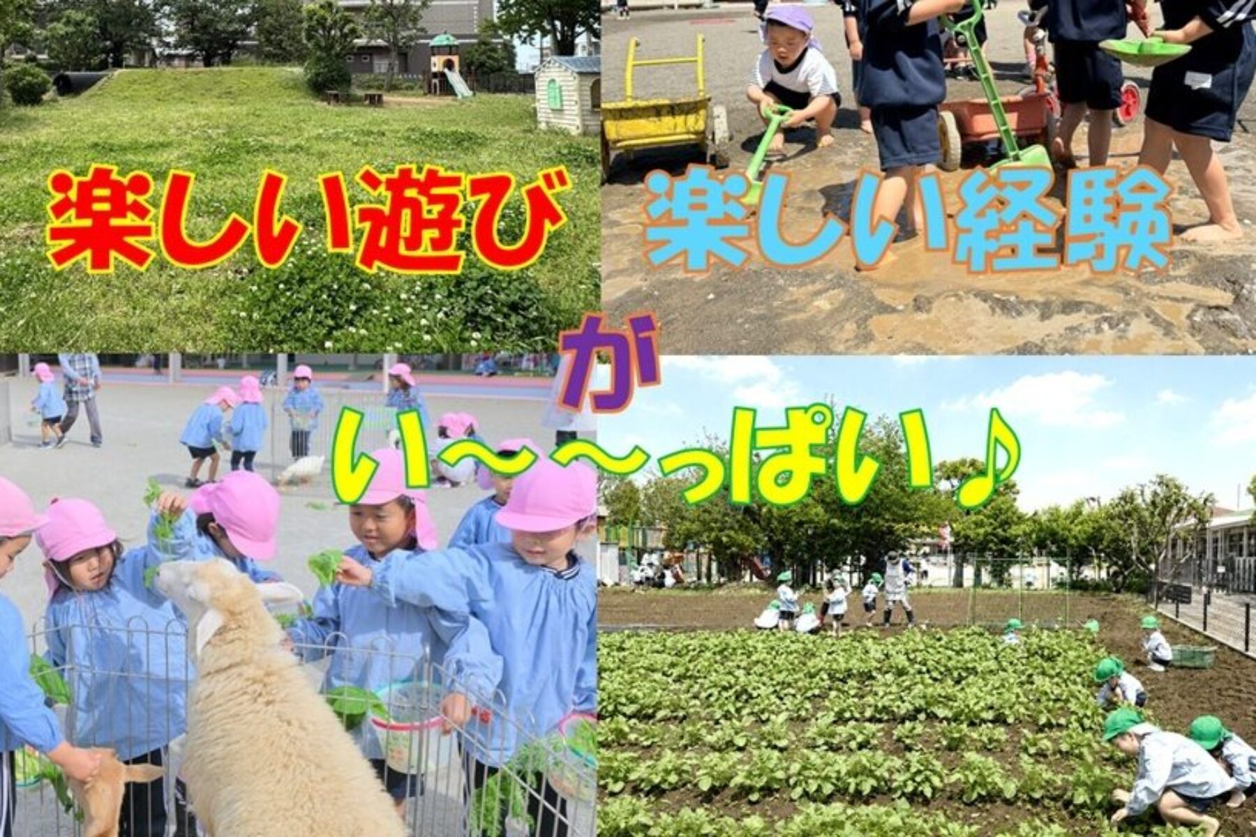 山王写真①
