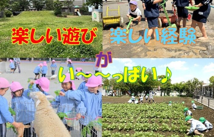 山王写真①